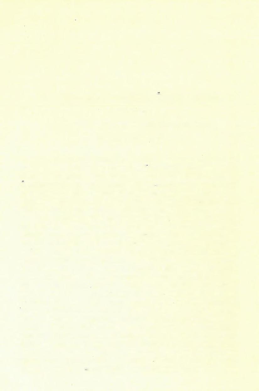 16. A nyitramegyei Tornócz és Urmény környéke. ( I m táblával.) (Jelentés az 1903. é v i részletes agrogeologiai fölvételről.) HoRUSITZKY HENBIKtŐl. Az 1903.