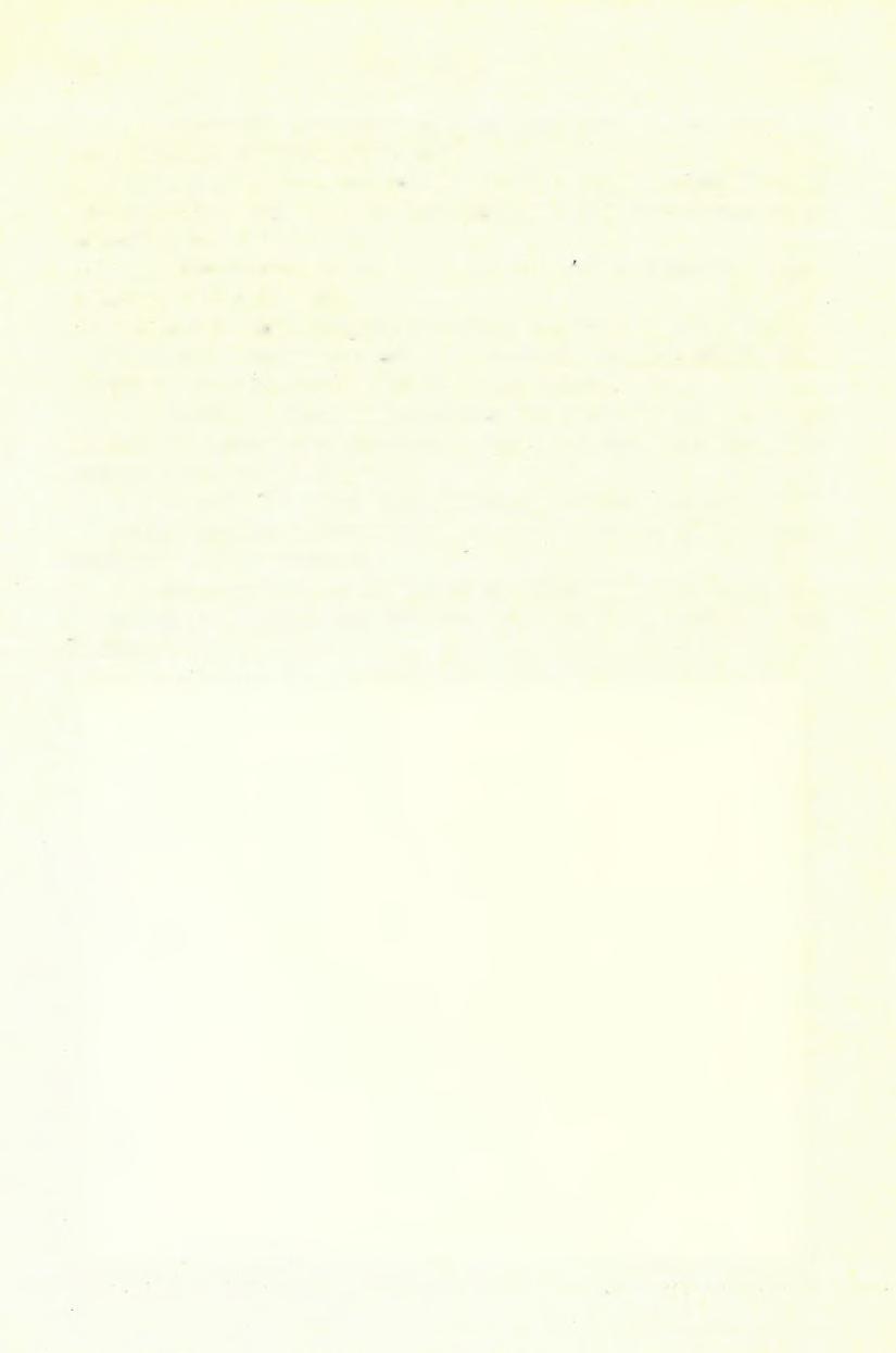 (17) F Ö LV É TE LI JELENTÉS. 349 A tardoskeddi, valamint az ürményi mély fúrással valószínű, hogy már a mioczén rétegekhez közel értek. Az I., II., és a III.