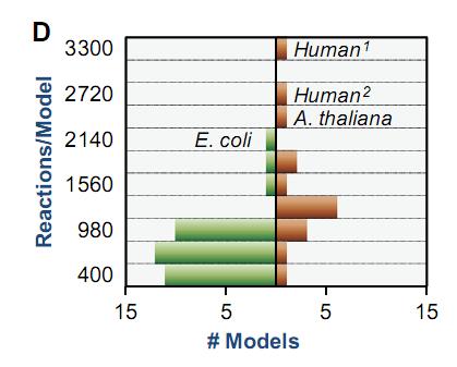 Példa egy sikeres rendszerbiológiai modellezésre: