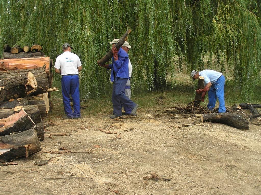 A technológiai folyamat ismertetése A nagyobb méretű uszadékokat a közfoglalkoztatozzak darabolják és sarangba rakják.