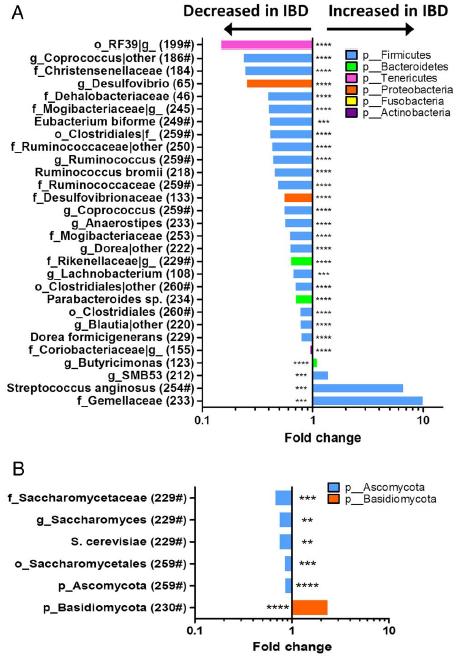 A dysbiosis karakterikája