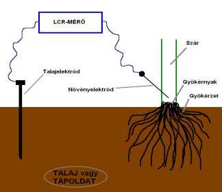 A talaj nedvességállapotának bio-indikációja a növény talajban mért