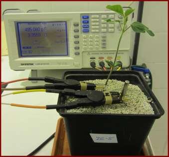 capacitance of roots in relation to plant electrodes, measuring