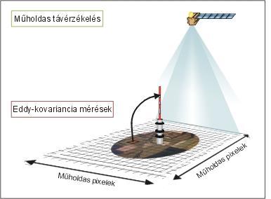 2.1 Ökoszisztéma szintű CO 2 forgalom Problémák: Agroökoszisztémák egyszerűsítése Validációs