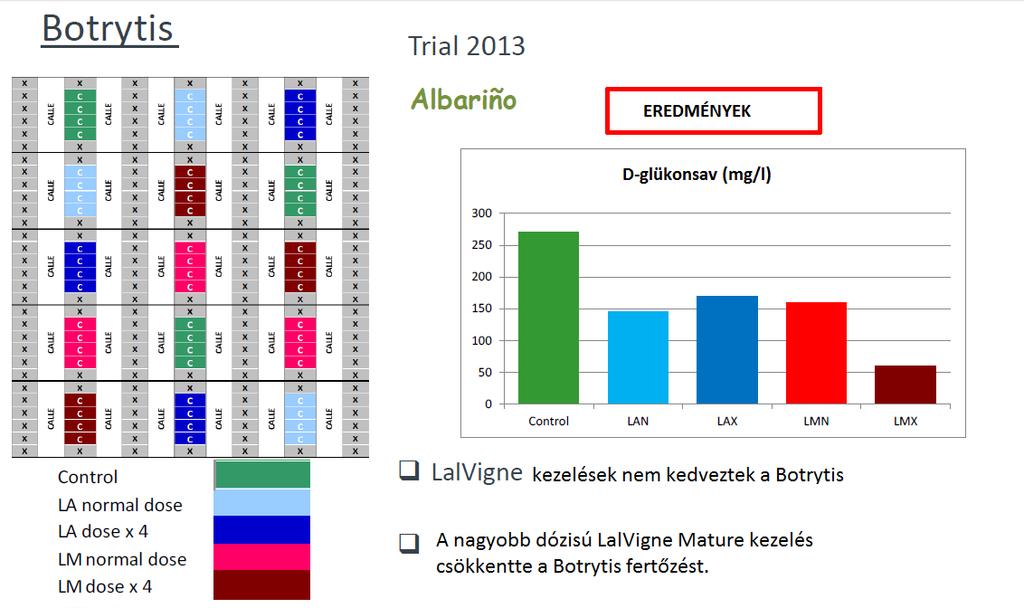 A HASZNÁLATÁNAK ELŐNYEI A SZŐLŐTERMESZTÉSBEN A Lalvigne Mature és Aroma normál dózissal csaknem