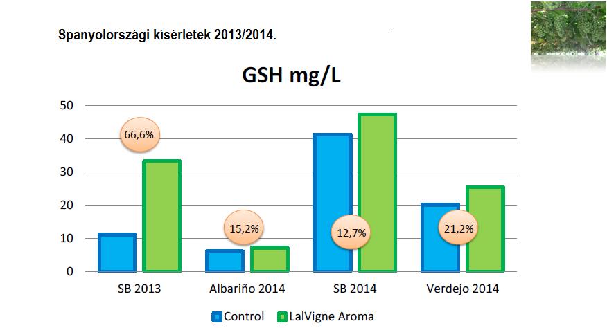 NÖVELI A GLUTATION KONCENTRÁCIÓJÁT Erősen évjáratfüggő, hogy mennyivel.