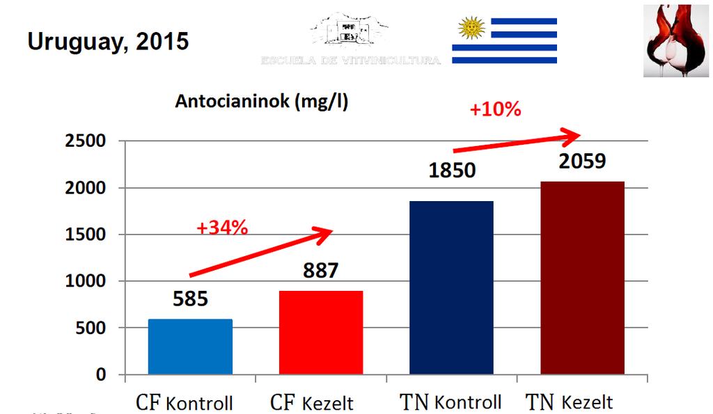 AZ ANTOCIANINOK