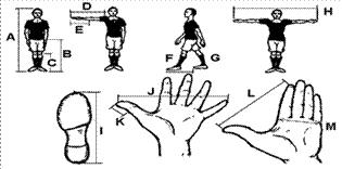 Alapméretek (fontos méretek, magasságok) Dátum A. Testmagasság és testsúly B. 1 m vagy 1 yd testeden C. Térdmagasság D. Karhossz E. Alsókarhossz F. Lépéshossz G. Hány lépés 10 m vagy 10 yd H.