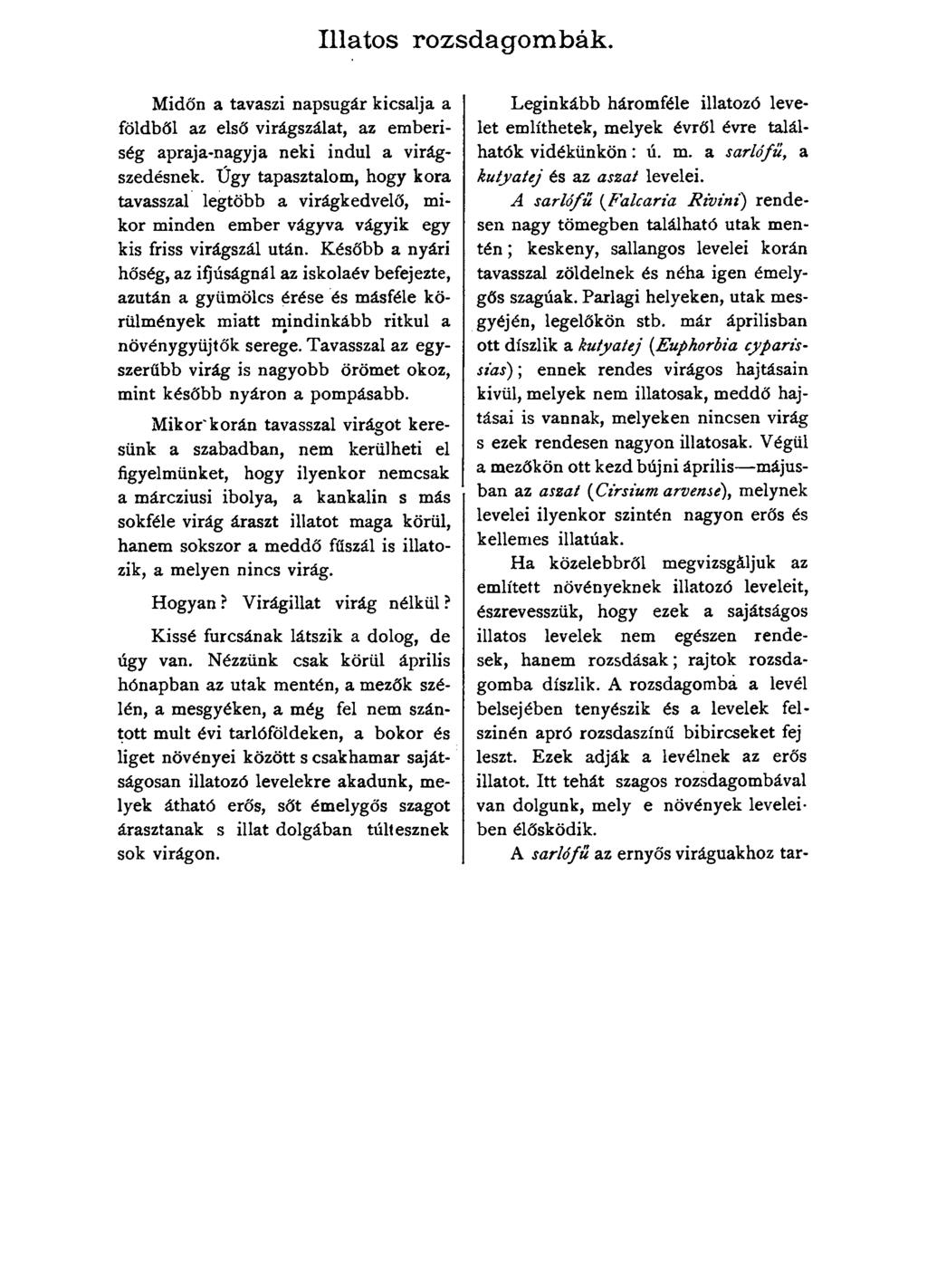 Illatos rozsdagom bák. Midőn a tavaszi napsugár kicsalja a földből az első virágszálat, az emberiség apraja-nagyja neki indul a virágszedésnek.