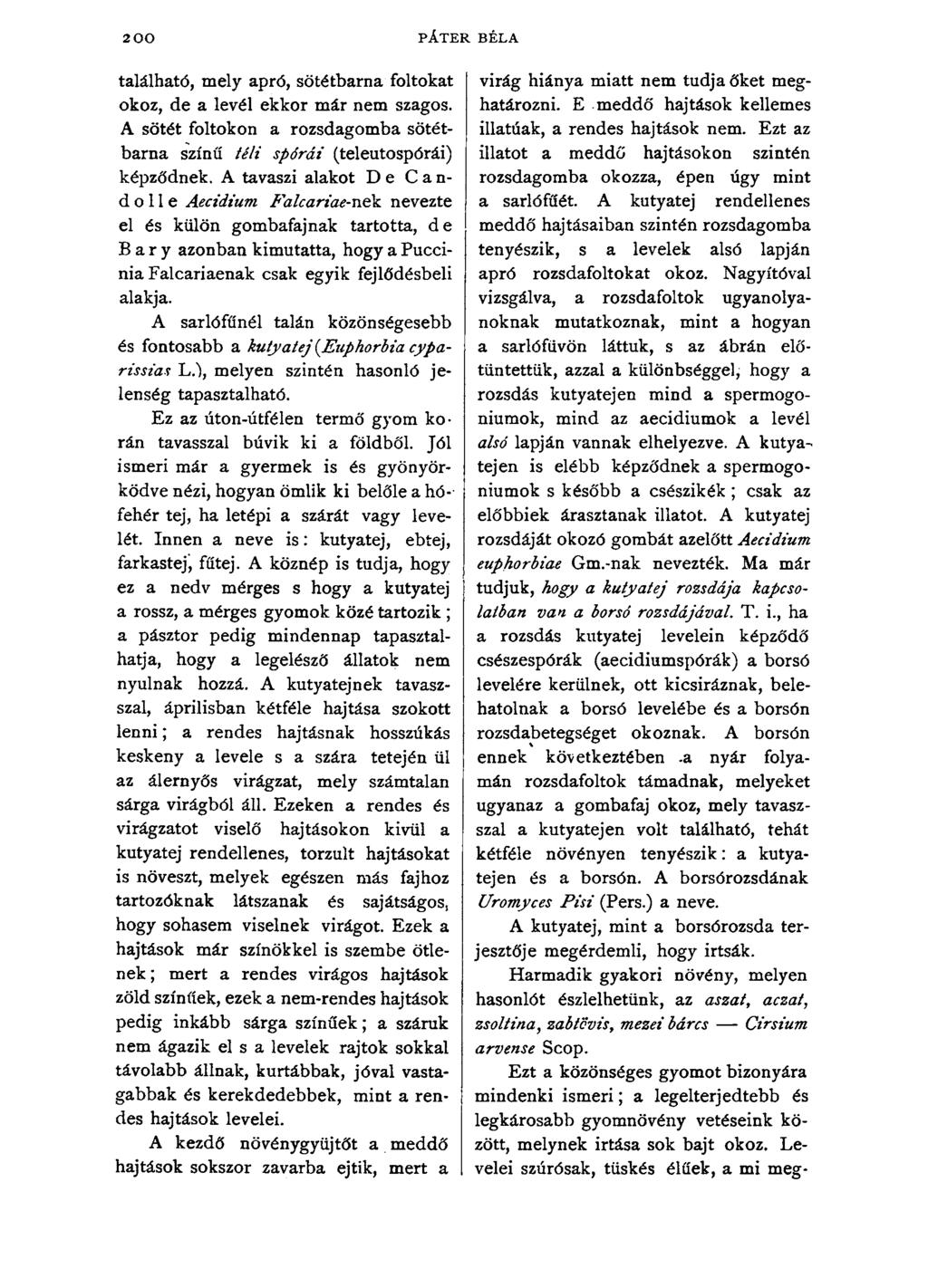 200 PÁTER BÉLA található, mely apró, sötétbarna foltokat okoz, de a levél ekkor már nem szagos. A sötét foltokon a rozsdagomba sötétbarna színű téli spórái (teleutospórái) képződnek.