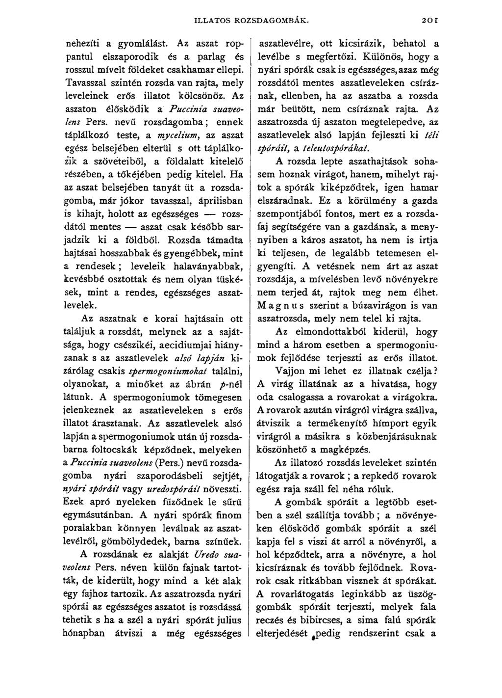 ILLATOS ROZSDAGOMBÁK. 201 nehezíti a gyomlálást. Az aszat roppantul elszaporodik és a parlag és rosszul mívelt földeket csakhamar ellepi.