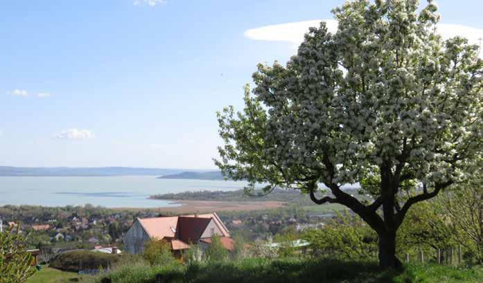 5 TERMÉSZETI ÖRÖKSÉGÜNK Természeti örökségünk 31 A Balaton-felvidék déli lábánál fekvő tájat igen változatos domborzat jellemzi.