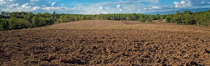 SZEZONVÁRÓ AKCIÓ OROS SUN 6 soros napraforgó betakarító adapter 4.80 0.0 0 0 Ft + ÁFA helyett 3.599.