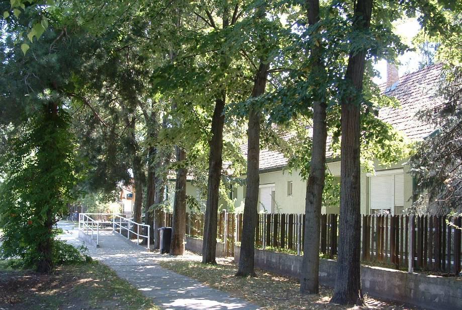 A Kossuth utca a középső szakasza a klasszikus faluközpont iskolával, művelődési házzal, postával, iskolával, óvodával.