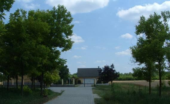 termeléstől