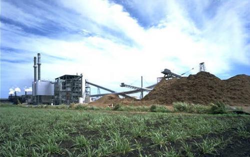 Barna prémium Cél: biomassza vagy biogáz felhasználásával történő villamosenergia-termelés fenntartásának ösztönzésére nyújtott prémium típusú támogatás, annak elkerülése végett, hogy az