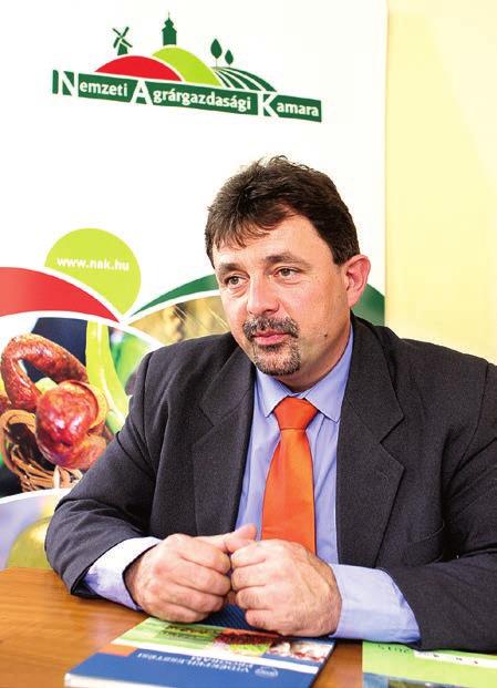 A választáson a kamarai tagság felhatalmazást adott a NAK-nak újabb öt évre a munka folytatására.