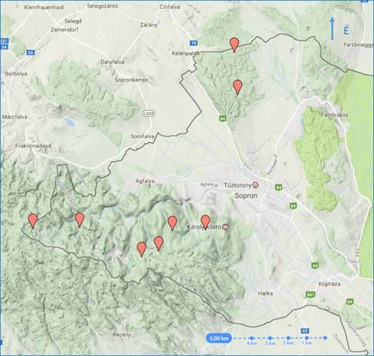 Gyepszint: a lágyszárú növények, illetve azok a fás szárúak, amelyek magassága nem éri el az 50 cm-t.