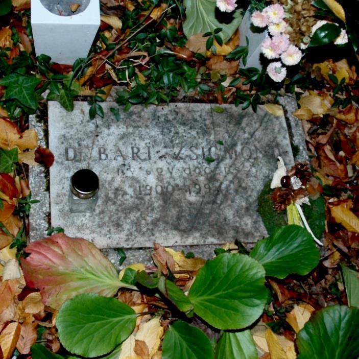 1980-ban Gyógyszerellátási és gyógyszerügyi szervezés" területén szakgyógyszerészi képesítést szerzett. Élete során több magasabb szintű elismerésben volt része.
