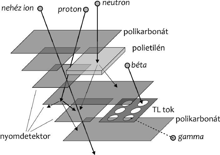 Apáthy Pálfalvi dozimetriai mérések Foton, Bion (visszatérő műholdakban a biológiai kísérletekhez sugárdozimetriai mérési adatok szolgáltatása, 2005 ); BioTrack, Phoenix (biológiai