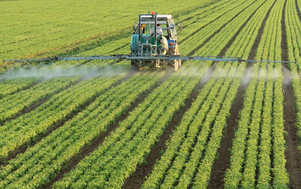 Raklap Növényvédő szerek A NÖVÉNYVÉDŐ SZEREKRE VONATKOZÓ SZABÁLYOZÁS A növényvédő szerek engedélyezésére, valamint a peszticidek fenntartható használatára vonatkozó uniós előírások a hatóanyagok és