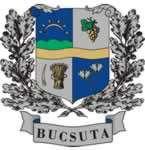 BUCSUTA KÖZSÉG Településképi Arculati Kézikönyve