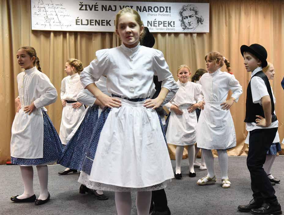 XXVIII, št.