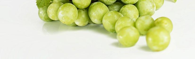 szeptember 8., 22. szombat 7.00-11.30 szeptember 15. szombat 9.00-12.00 Kora őszi gazdapiac A cserkészház kertjében (Bp. II. Hímes u. 3.