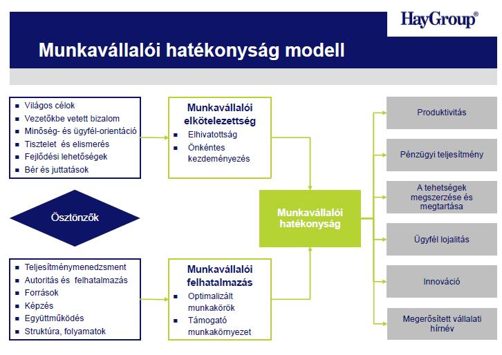 Forrás: HAY GROUP