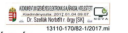 VI. AZ ELEKTRONIKUS ALÁÍRÁS ÉS AZ ELEKTRONIKUS BÉLYEGZŐ ALKALMAZÁSA 40.