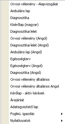 Főmenü / Egyéb lekérdezések Általános, nem feltétlenül a fő ablakban megjelenített listák menüje. 3.10.8.