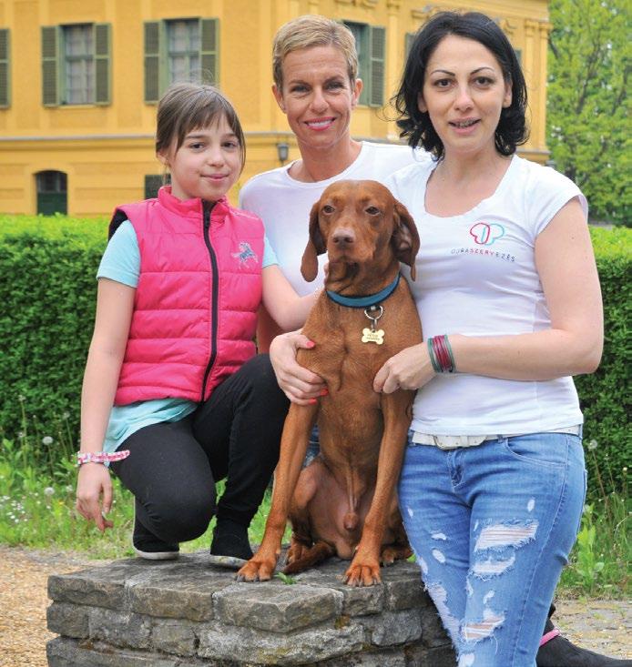 CSR-BESZÁMOLÓ 2016 ségekkel, az egészségünkkel kapcsolatos tartalom található. Hollós Kata és társai a média segítségével olyan megbízható információkat osztanak meg, amit máshonnan nehéz megkapni.