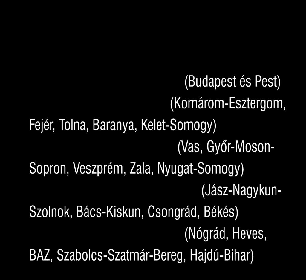 betonelem-szállító FAYMONVILLE MULTI N4 LAUM FAYMONVILLE MEGAMAX Z3 LA FAYMONVILLE VARIOMAX Z 3+5 HHVA FAYMONVILLE TZ3U