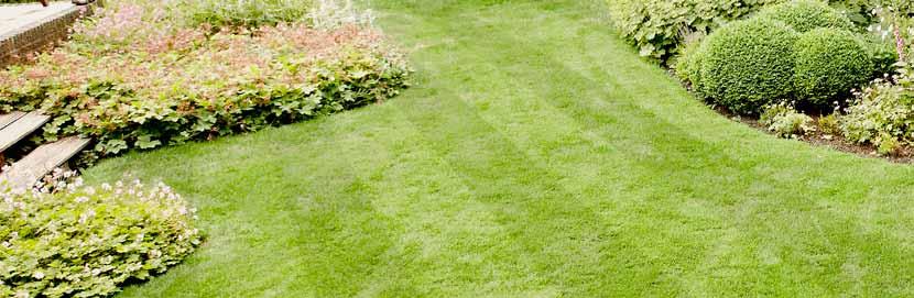 25 g/m 2 16 600 m 2 2 m 35 g/m 2 17 430 m 2 2 m Landscaper Pr 15 Autumn & Winter KG 12-5-20 + 3CaO + 2MgO Kiszerelés: 15 kg zsák Elegendő: 430-600 m 2 -re Dózis: 25-35 g/m 2 Ajánltt kijuttatási