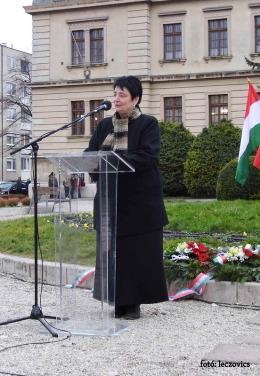 Fodor Tamás Sopron polgármestere és több önkormányzati képviselő is.