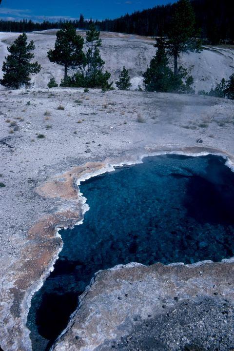 Yellowstone N.P., Wyoming Ős baktériumok Archaea Extrém élőhelyek de óceánok, talaj, emberi bélcsatorna is!