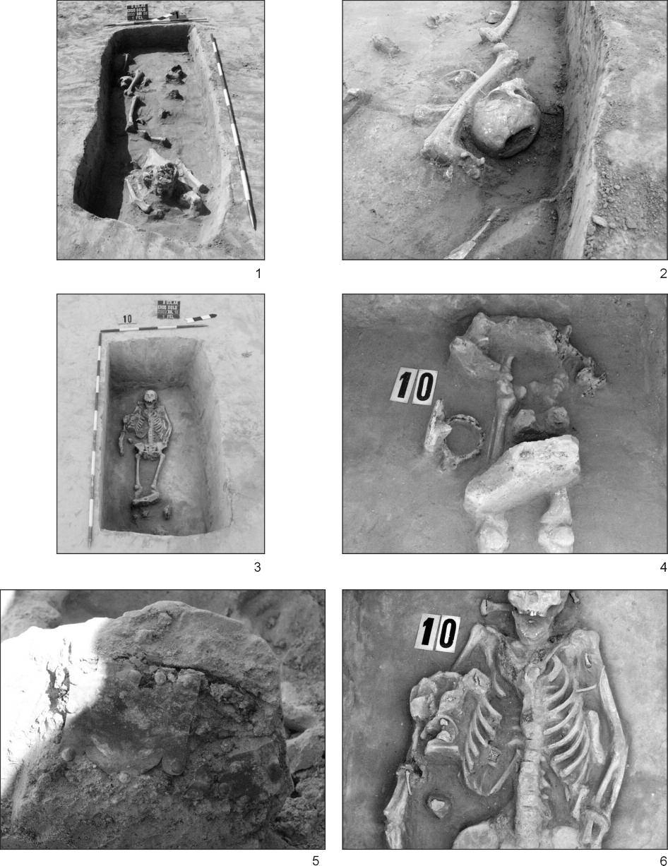 32 HONTI SZILVIA ET AL. X. tábla: Balatonújlak Erdõ-dûlõ 1. Az 1. rabolt sír. 2. Részlet a trepanált koponyáról (1. sír). 3. A 10. sír. 4.