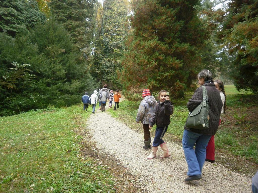 melyeket érdemes felkeresni! Ágneslaki Arborétum - SEFAG Zrt.