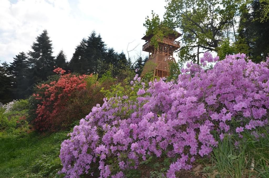 A Szombathelyi Erdészeti Zrt. kezelésében lévő Jeli Arborétum idén is szeretettel várja a természetszeretőket!