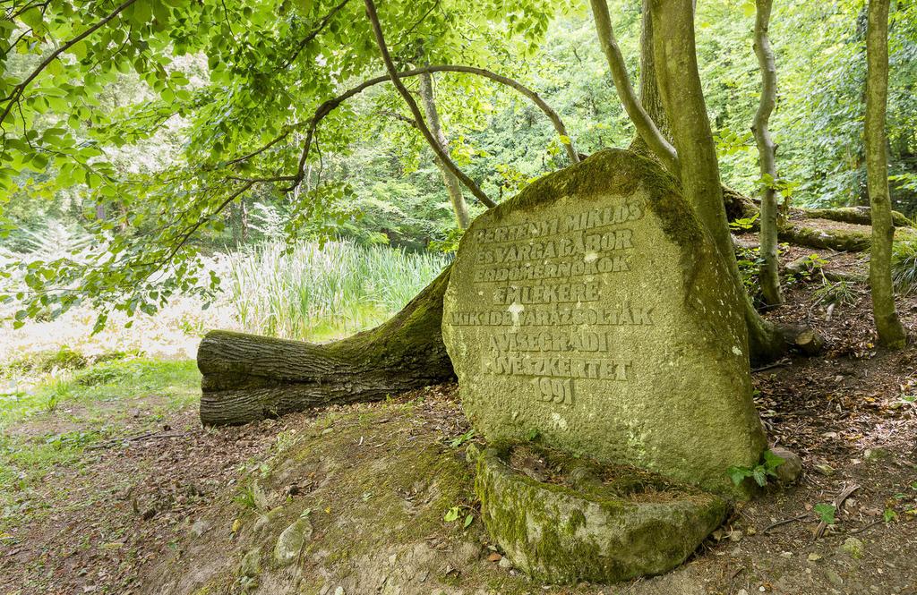 Bővebb információ, látogatási rend: http://parkerdo.hu/turizmus/latnivalok/godolloi-erdeszeti-arboretum/ [17] Bertényi Miklós Füvészkert - Pilisi Parkerdő Zrt.