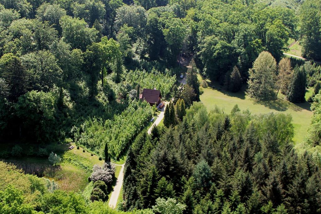 Fotó: Pintér Csaba A Csácsbozsoki Arborétum Zalaegerszeg keleti határában, Csácsbozsok városrészben, a városközponttól körülbelül 4 kilométerre található 83 hektáros védett terület, melyen Zala megye