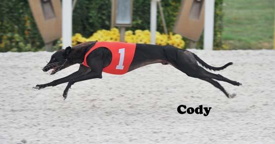 09 250 Kincsem Park (j) 70000 250 14.5 Chilli-Max-Cooper 2017.09.01 250 Kincsem Park (j) 70000 250 14.2 Eagle-Cooper-Polo 2017.08.20 400 Kincsem Park (j) 70000 400 23.9 Izadro-Falcon-Cooper 2017.08.04 400 Kincsem Park (j) 70000 400 23.