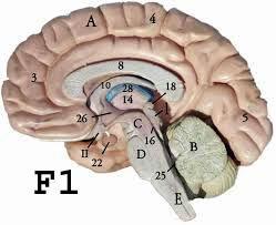 F4 F5 F6 F7 Observați
