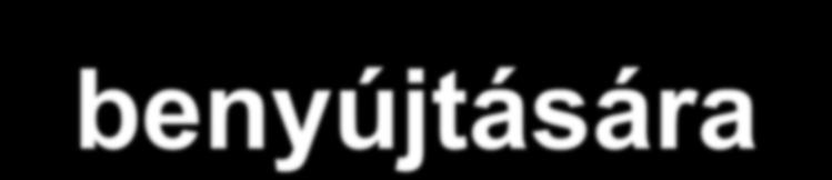 Felkészülés a hitelkérelem benyújtására 1. A biztosítékok felmérése. 2.