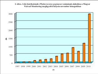 A kis kárókatona helyzete és jellemzése A kis kárókatona a nagy kárókatonánál lényegesen kisebb méretű, de alakjában ahhoz hasonló madár. Testhossza 45-55 cm, szárnyfesztávolsága 75-90 cm.