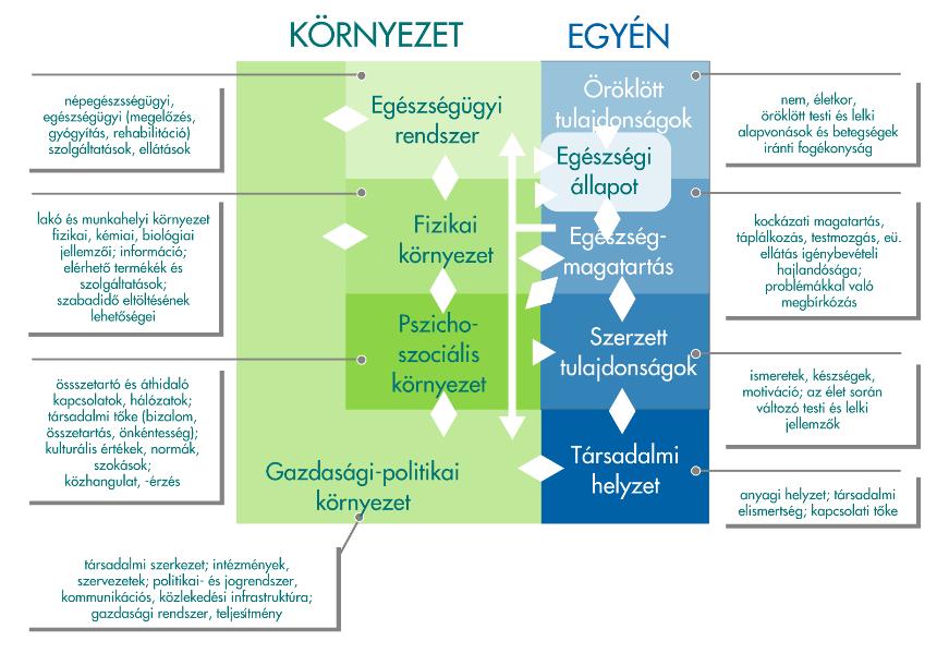 Áttekintve a magyar lakosság egészsége szempontjából legjelentősebb betegségeket és az azok kialakulásában szerepet játszó, az életmóddal és a környezettel kapcsolatos kockázati tényezőket