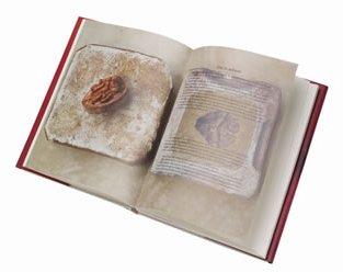 Azt már az élet egyéb területeiről is tudjuk, hogy egyedül üdvözítő recept semmire sincs. A diófestékreceptekből is lehet válogatni, hogy melyik tetszik.