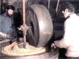 molnárhoz, "napot kérni",