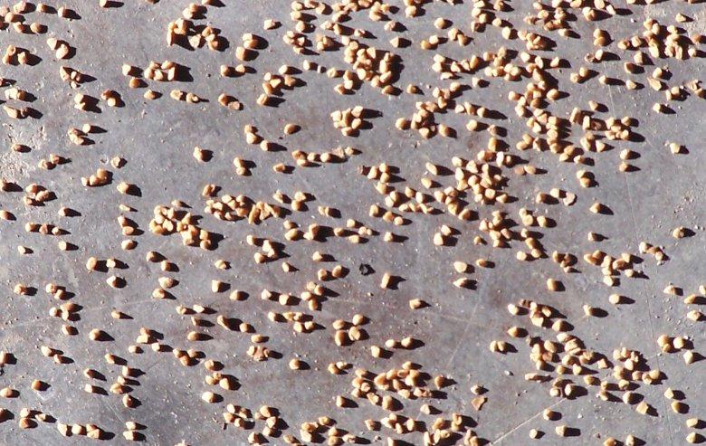 1 mm alatti vegyes