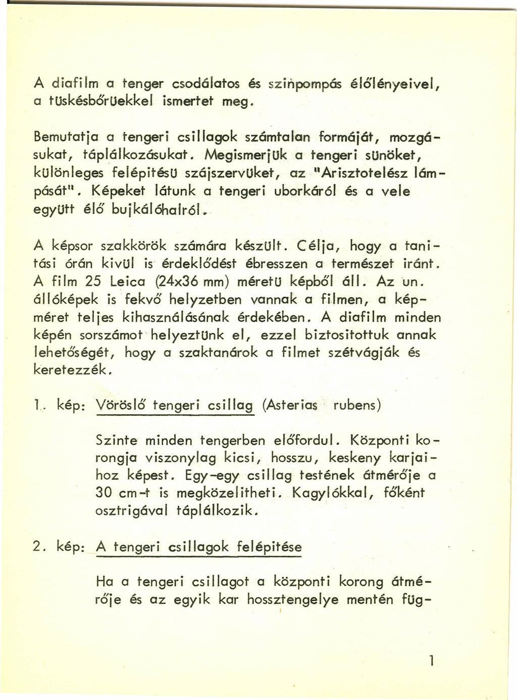 A diafilm a tenger csodálatos és sz inpompés élőlényeivel, a tuskésbőruekkel ismertet meg. Bemutatja a tengeri csillagok számtalan formáját, mozgásukat, táplálkozásukat.